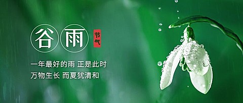 谷雨节气祝福宣传实景公众号首图