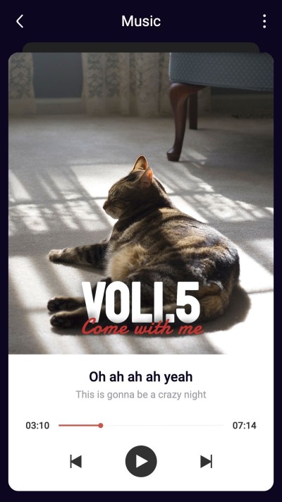 Fashion Style Music player interface simulation Sunshine Cat Instagram story