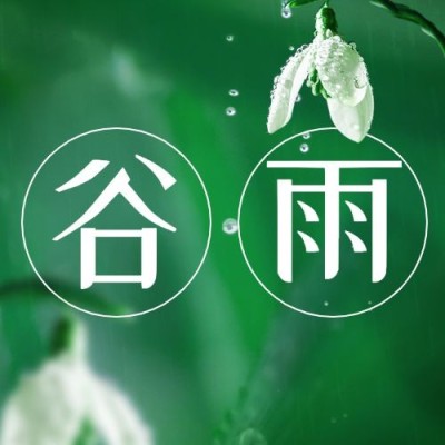 谷雨节气祝福宣传实景公众号次图