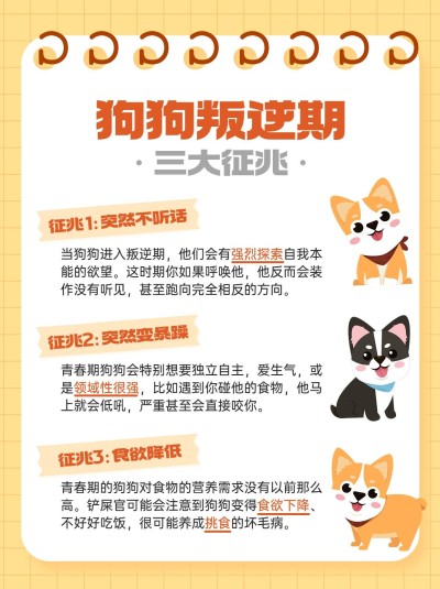宠物知识攻略科普小红书配图