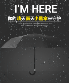 模板缩略图