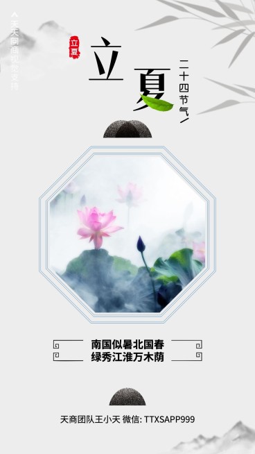 立夏节气正能量打卡引流预览效果