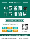 模板缩略图