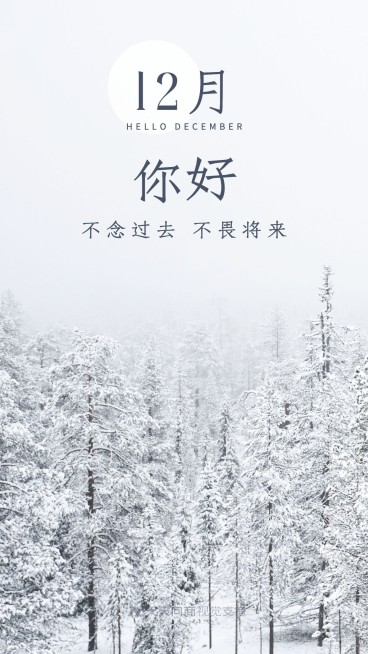 通用12月你好实景手机海报预览效果