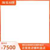 模板缩略图