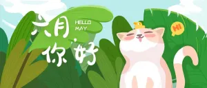 6月你好可爱猫咪插画公众号首图