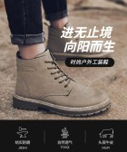 模板缩略图