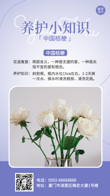微商鲜花养护知识科普简约手机海报预览效果