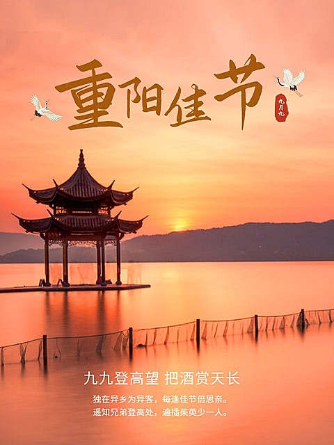 重阳节祝福中国风晒照plog模板