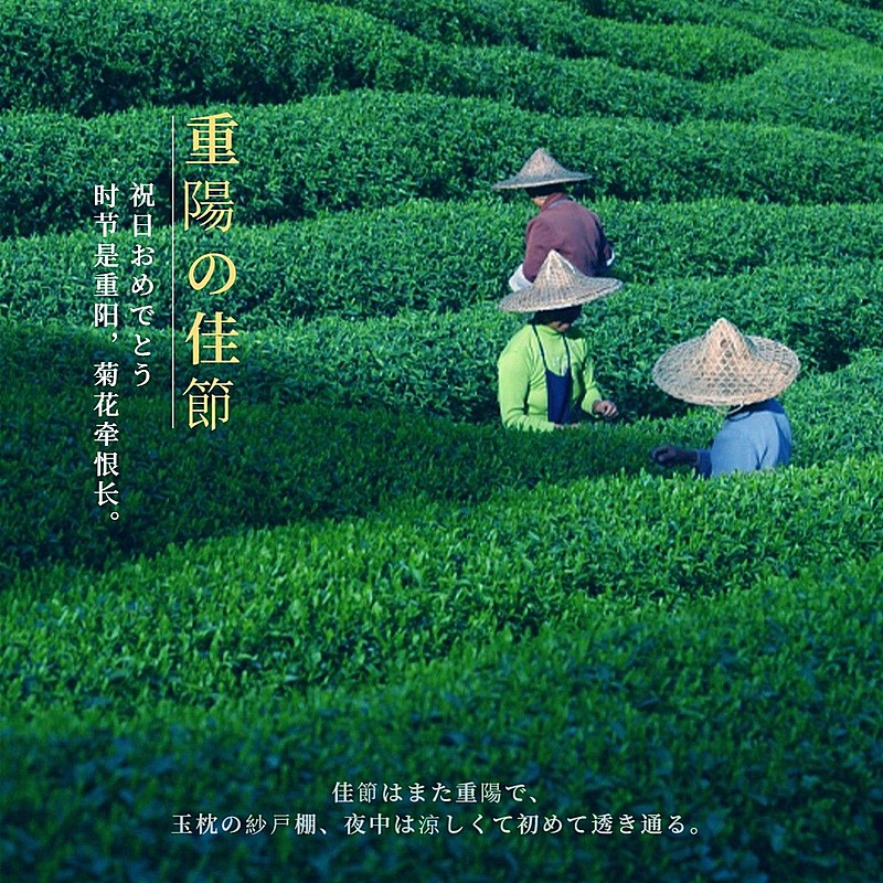 重阳节祝福简约风晒照plog模板