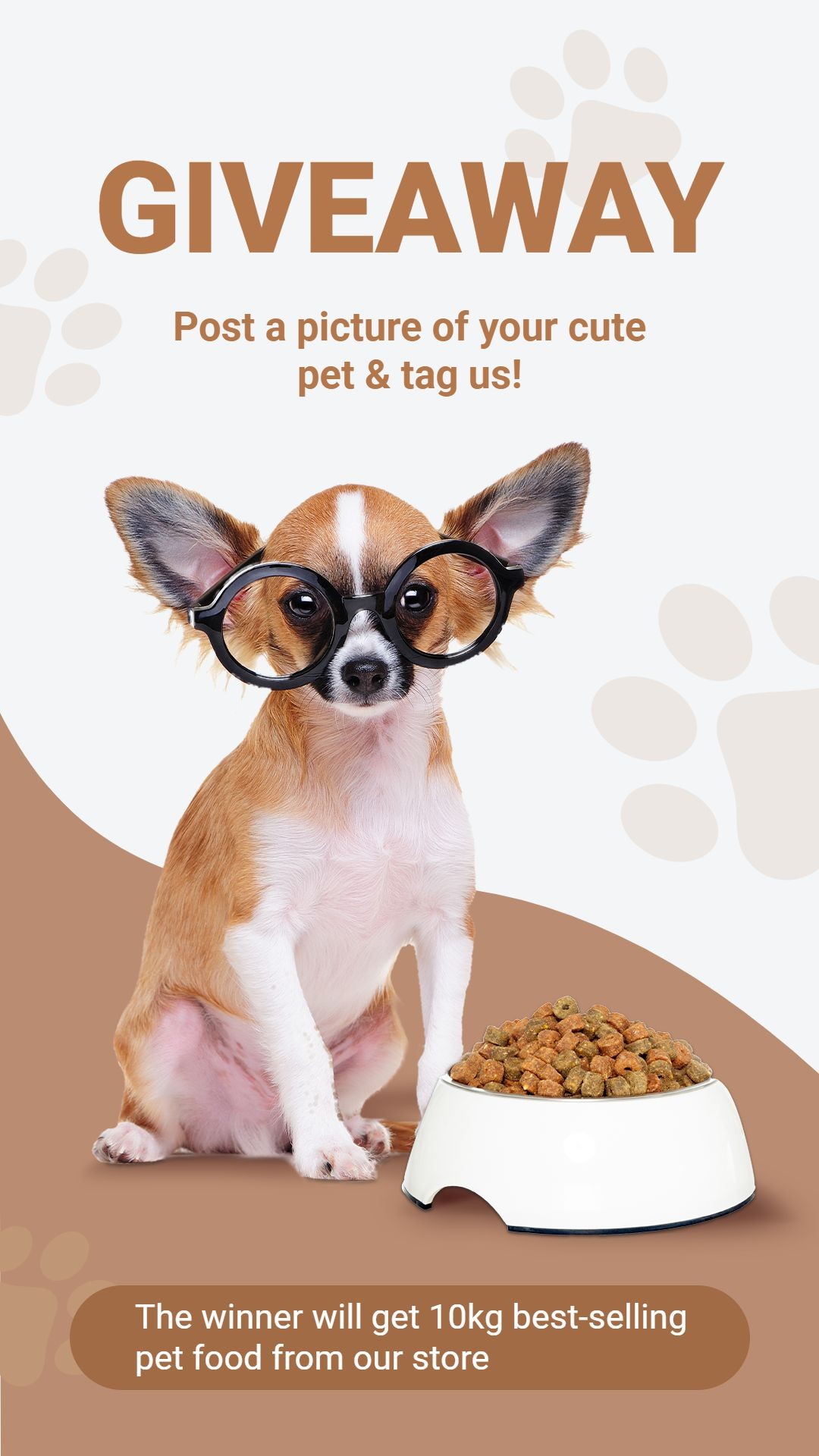 Simple Style Pet Product Supplies Giveaway Promo Ecommerce Story预览效果