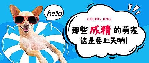 萌宠宠物店/成精/公众号首图