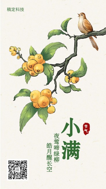 小满/节气/插画/手机海报预览效果