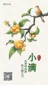 模板缩略图