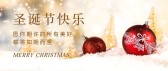 模板缩略图