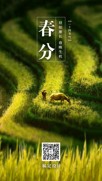 春分节气祝福问候春天手机海报