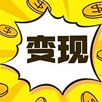 变现/金币公众号次图
