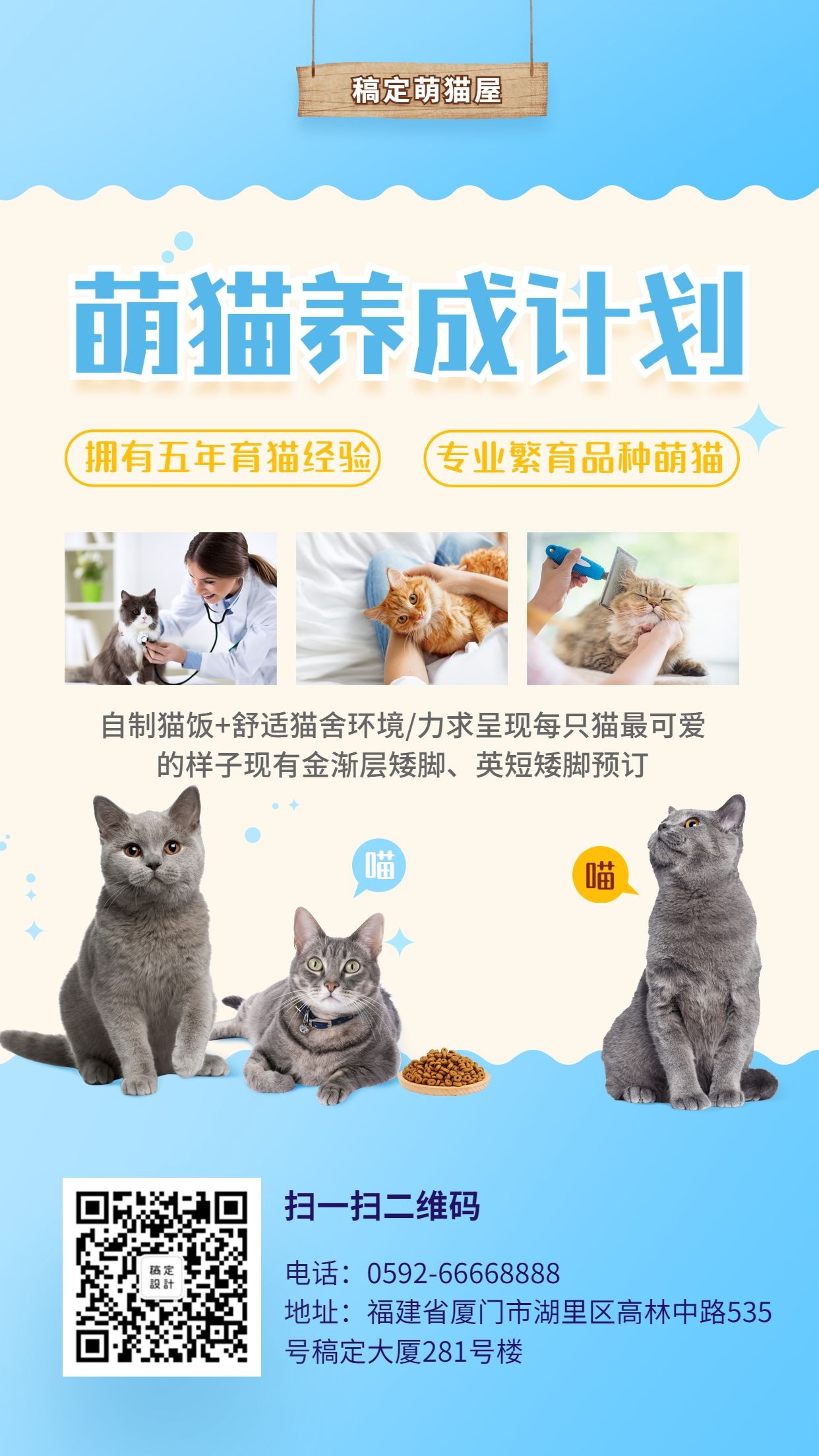 萌猫养成计划卡通可爱手机海报预览效果