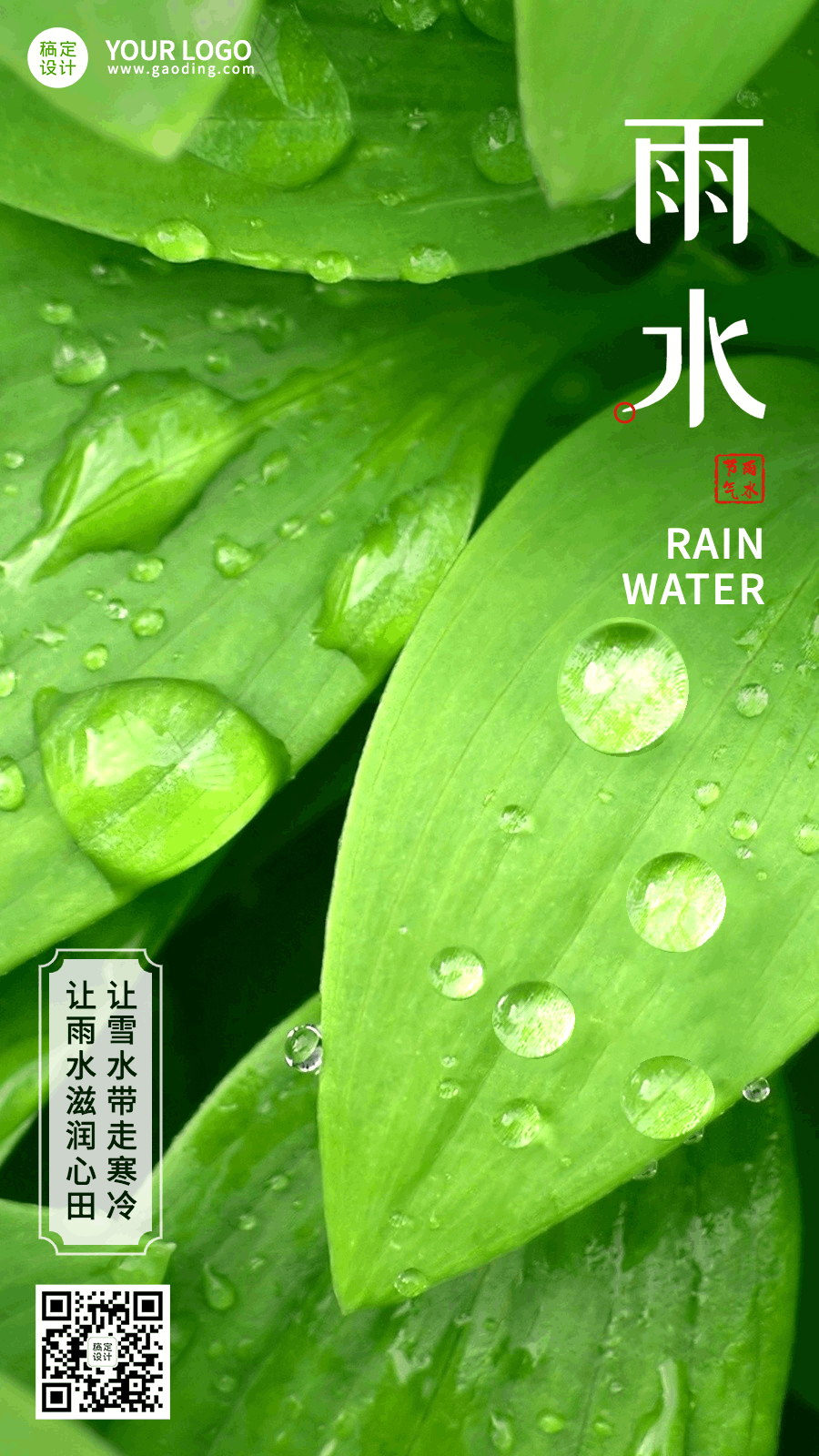 雨水节气实景特写露珠GIF动态海报预览效果