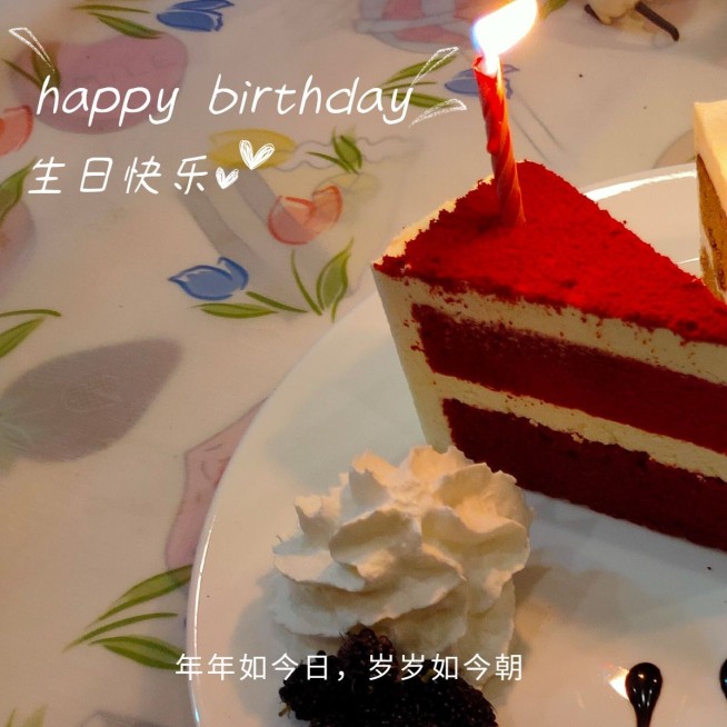 生日蛋糕祝福晒照简约风plog模板预览效果