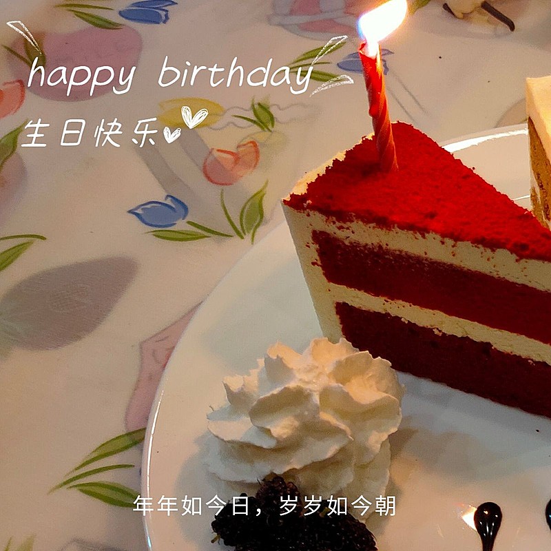 生日蛋糕祝福晒照简约风plog模板