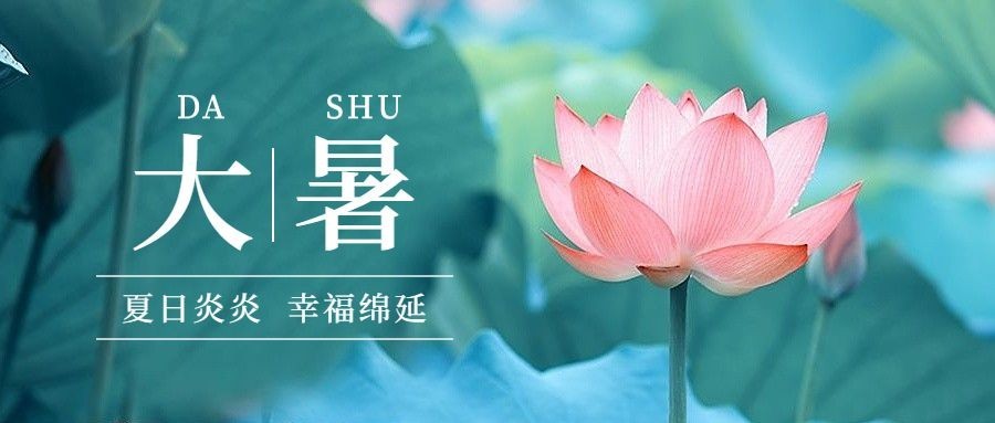 大暑节气祝福公众号首图预览效果