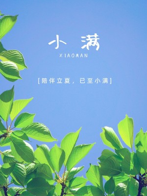 夏日节气小满简约风plog模板