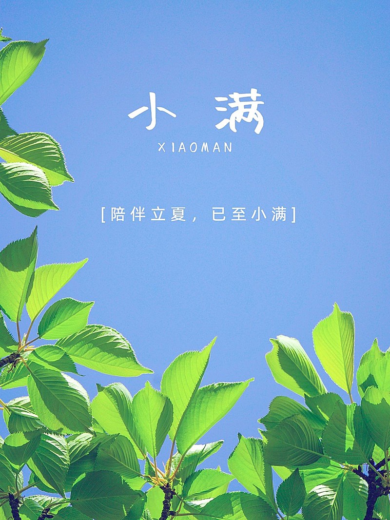 夏日节气小满简约风plog模板