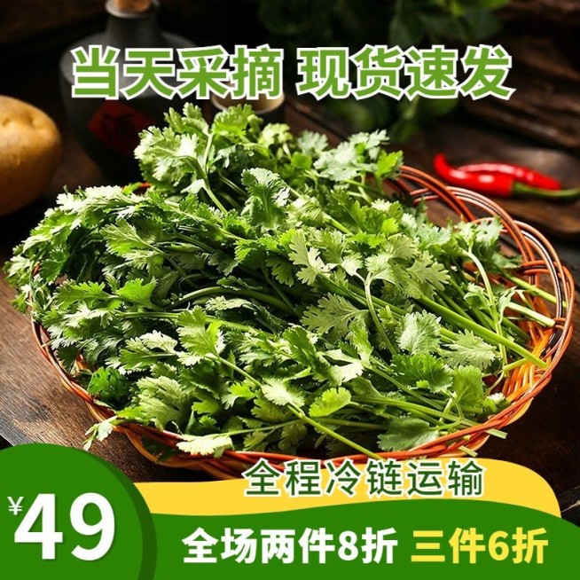电商食品生鲜促销活动商品主图预览效果