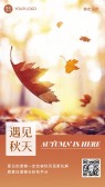 模板缩略图