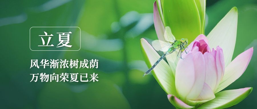 立夏节气祝福公众号首图预览效果