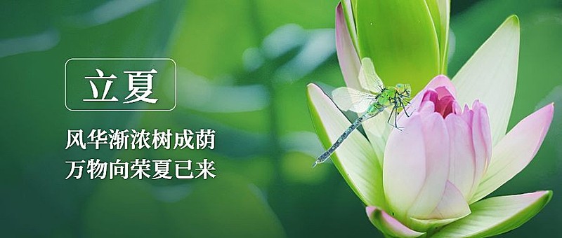 立夏节气祝福公众号首图