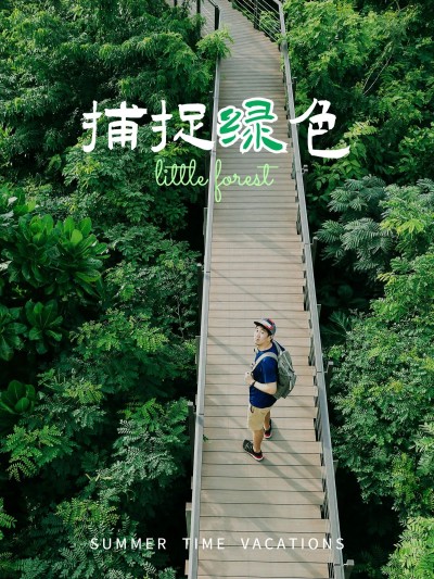 夏日出游季风景户外简约风plog模板