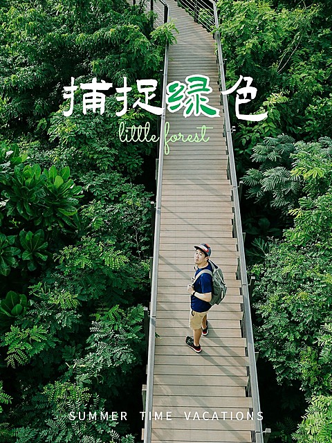 夏日出游季风景户外简约风plog模板