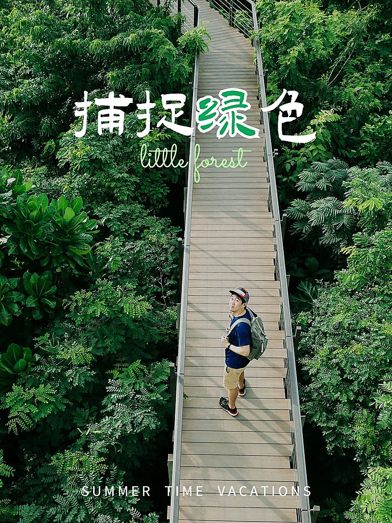 夏日出游季风景户外简约风plog模板