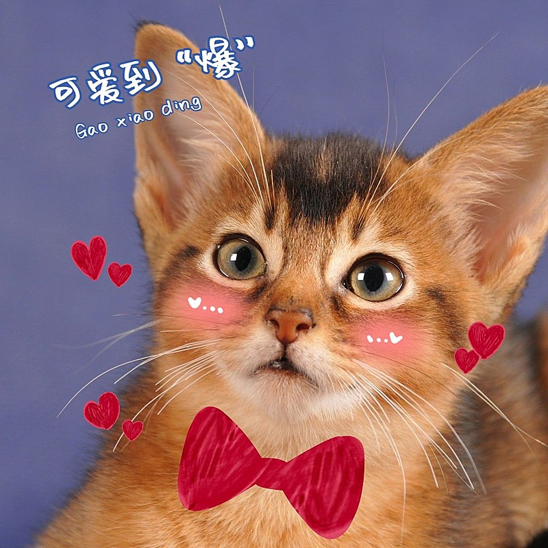 日常晒物萌宠可爱风plog模板