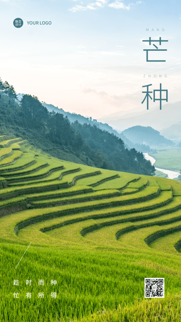 芒种节气祝福排版手机海报预览效果