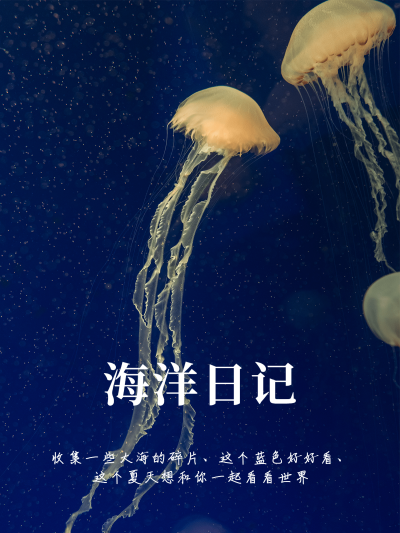 夏日出游季晒图晒照简约风plog模板