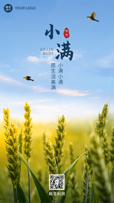 小满节气祝福实景合成手机海报预览效果