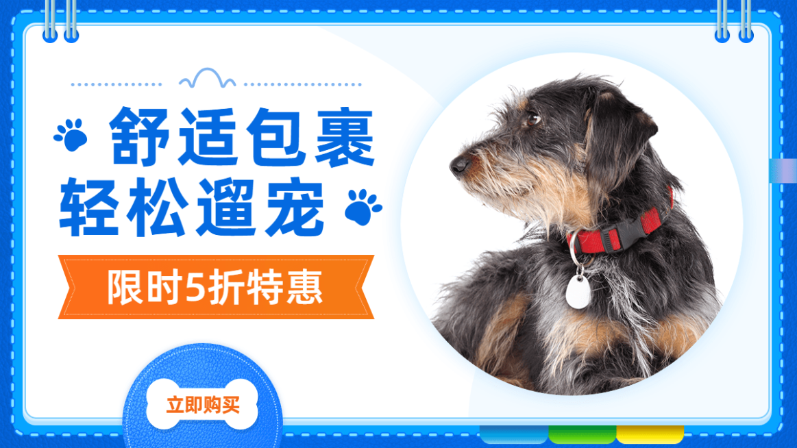 简约创意常规宠物服装海报 banner预览效果