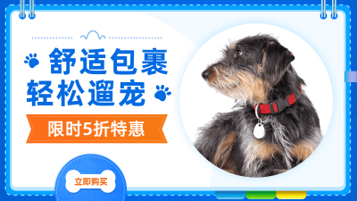 简约创意常规宠物服装海报 banner