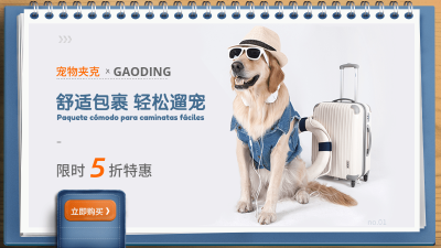 简约时尚常规宠物服饰海报banner