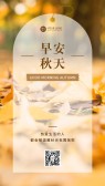 模板缩略图
