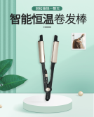 模板缩略图