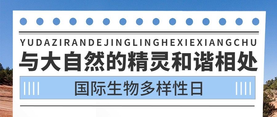 国际生物多样性日公众号首图