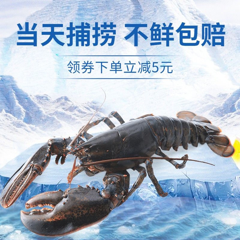 小程序电商食品生鲜龙虾商品主图预览效果
