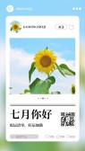 模板缩略图