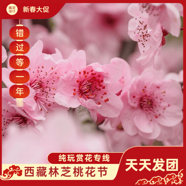 春节旅游出行营销国风实景商品主图预览效果