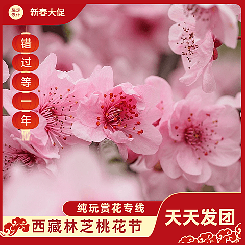 春节旅游出行营销国风实景商品主图