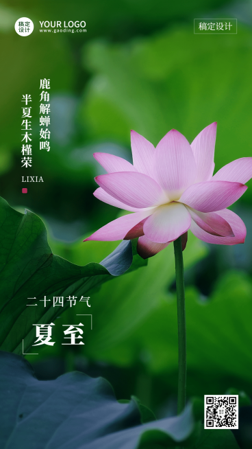 夏至节气祝福排版手机海报预览效果